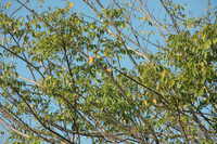  2007-12-10 09.27.18.JPG 